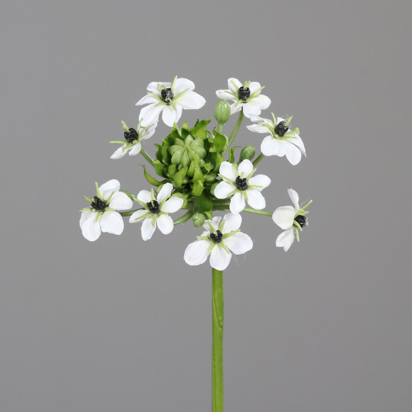 Kunstblume Ornitogalum