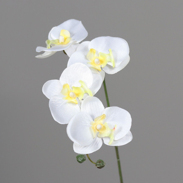 Orchidee weiß in weiß aus Kunststoff