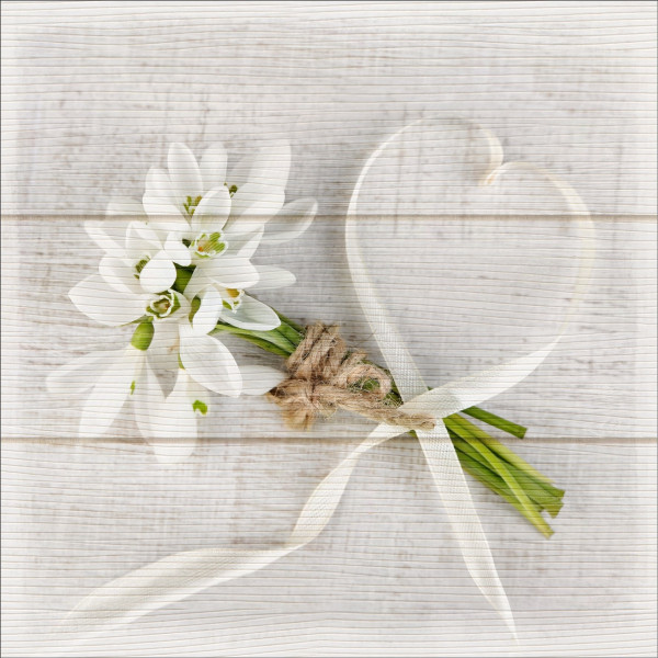 Holzbild WHITE SPRING I