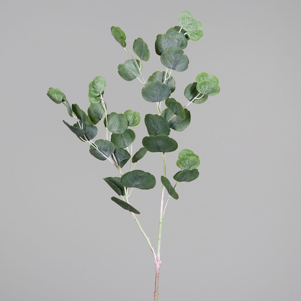 Kunstpflanze Eukalyptuszweig