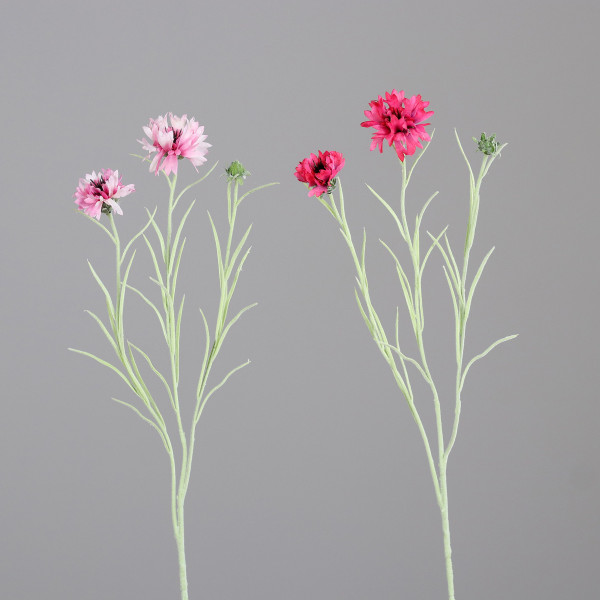 Kunstblume Kornzweig