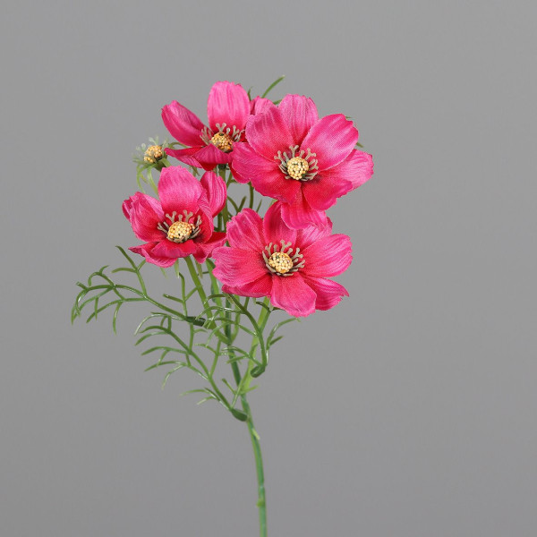 Kunstblume COSMEA