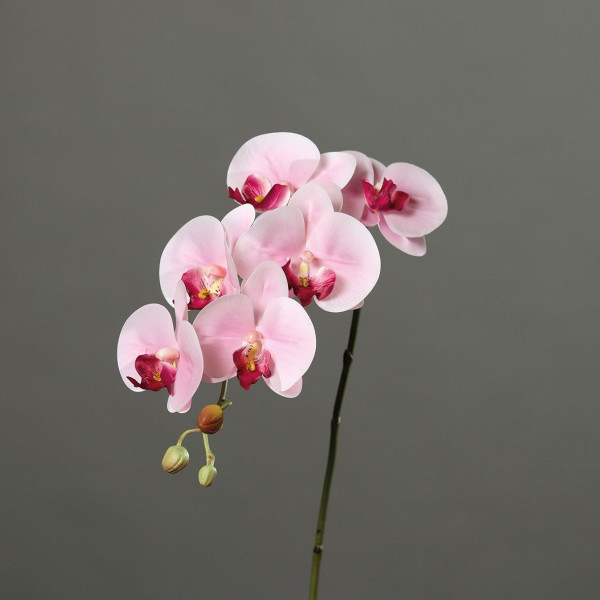 Kunstblume Orchidee
