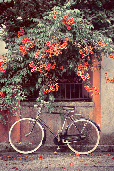 Akustikbild FAHRRAD aus Materialmix