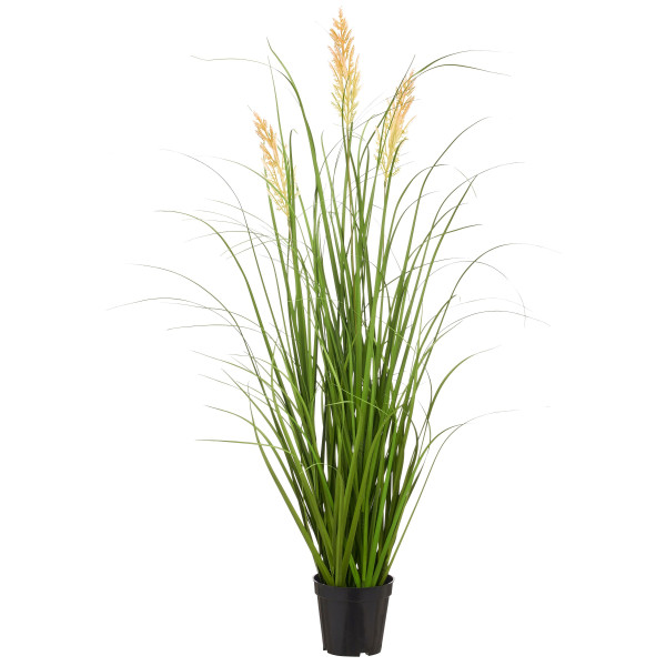 Grasbusch Federgras
