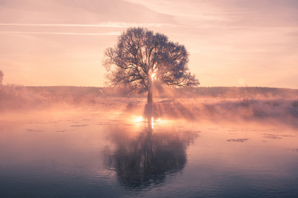 Akustikbild BAUM aus Materialmix