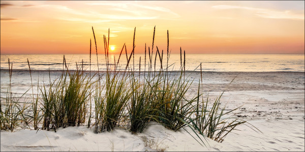 Keilrahmenbild LONELY DUNE