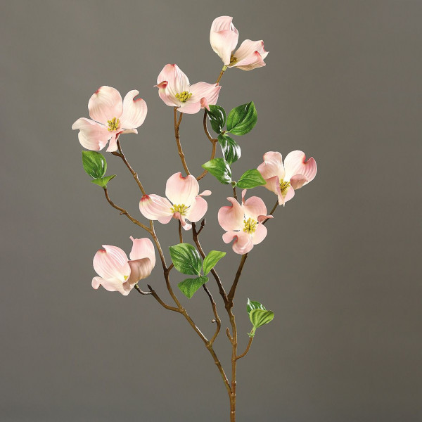 Kunstblume Zweig