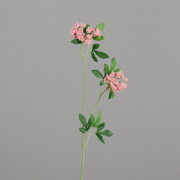 Kunstblume Anethum