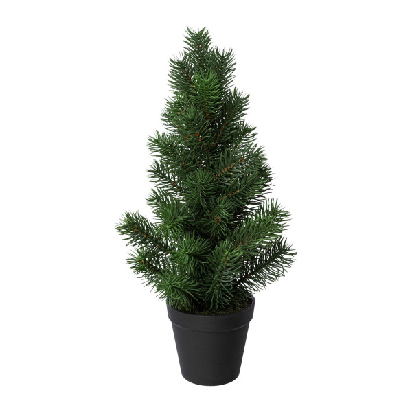 Tannenbaum