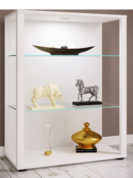 Vitrine GLASOL aus Dekor