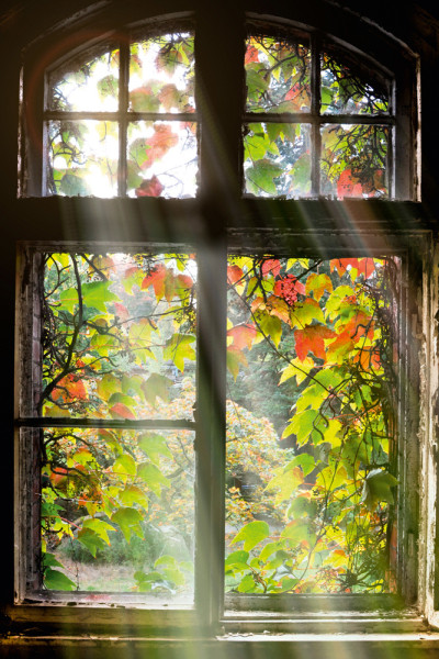 Akustikbild FENSTER MIT LAUB aus Materialmix