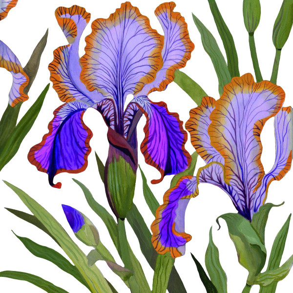 Servietten DOMINIQUE in bunt aus Papier