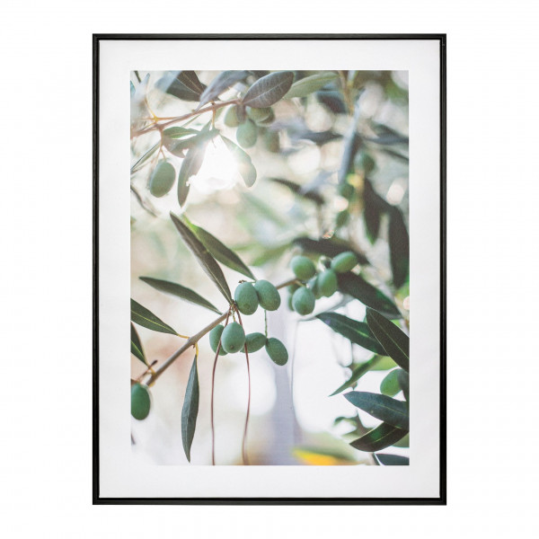 Canvas PRINT OLIVE