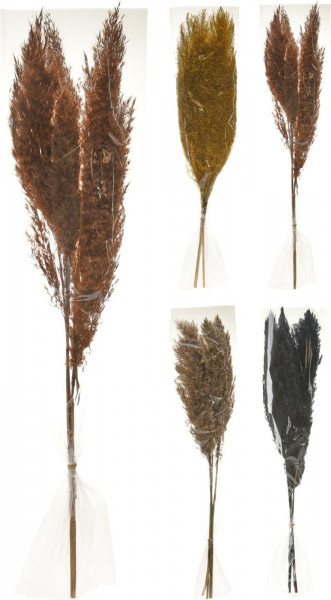 Trockenstrauß in natur aus 100 % Naturmaterial