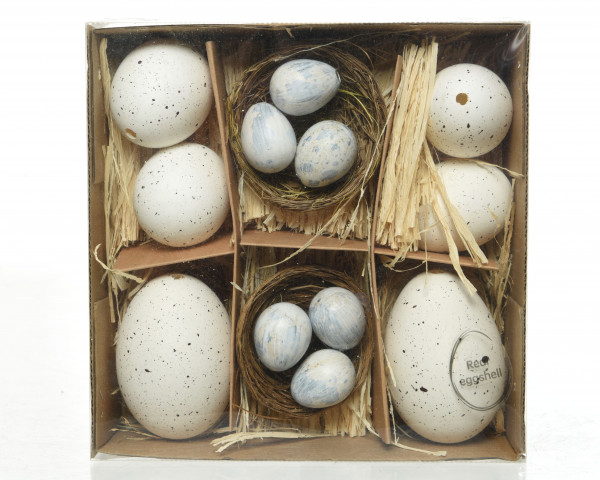 Hühner/Gänse Eier-Set