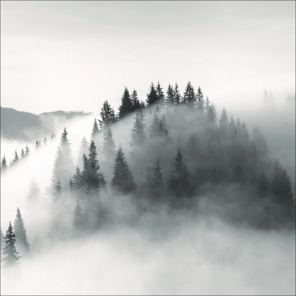 Glasbild