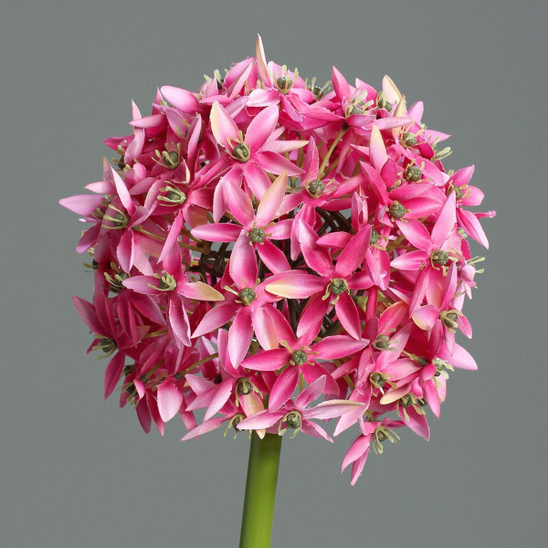 Kunstblume Allium