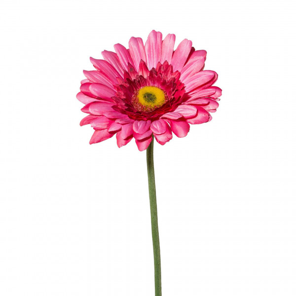 Kunstblume GERBERA