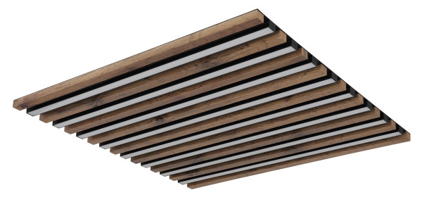 Deckenleuchte HAYDEN in schwarz aus Metall