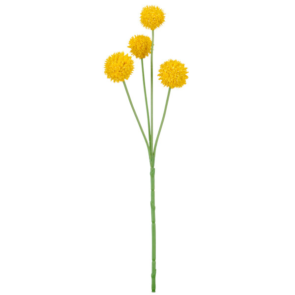 Kunstblume Graspedia