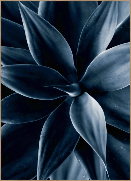 Bild Dark plant (BH 70x100 cm)