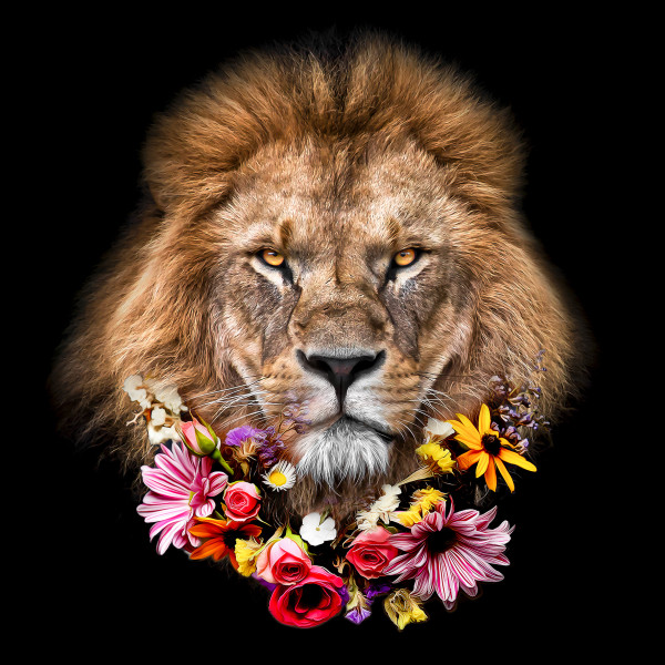 Glasbild FLOWERED LION