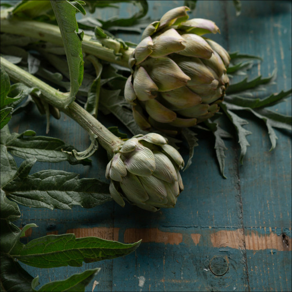 Glasbild ARTICHOKE I