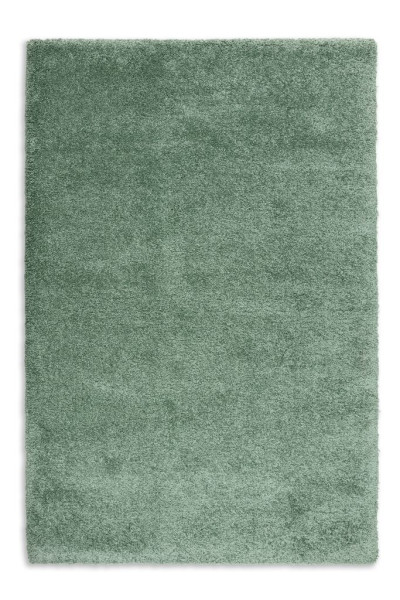 Teppich SCHÖNER WOHNEN LEVERAGE in grün aus Polypropylen