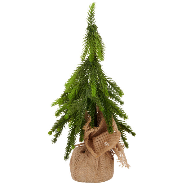 Tanneenbaum