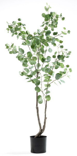 Kunstpflanze Eukalyptusbaum