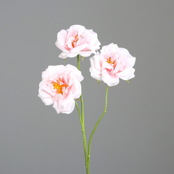 Kunstblume Rosenzweig