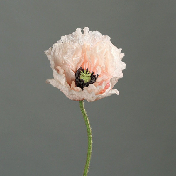 Kunstblume MOHN