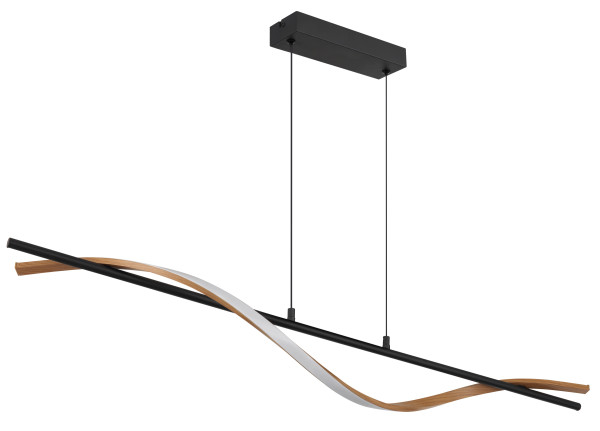 Hängeleuchte WATKINS in schwarz aus Metall