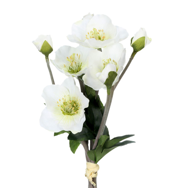 Christrosenbund