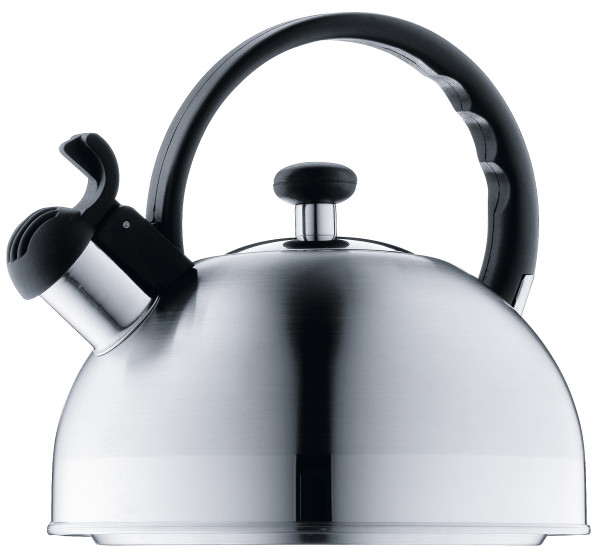 Flötenkessel WMF in silberfarben aus Metall