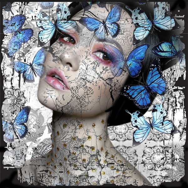 Bild Leather-Dibond BUTTERFLY in mehrfarbig