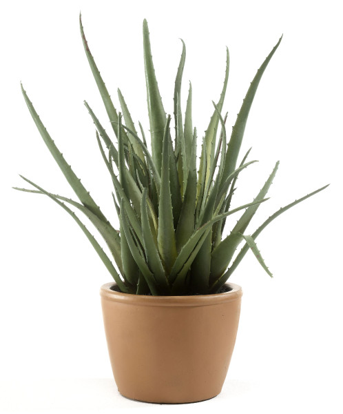 Kunstpflanze Aloe Vera in grün
