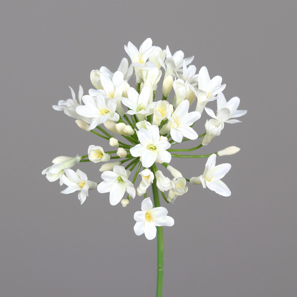 Kunstblume Amaranthus in creme aus Kunststoff