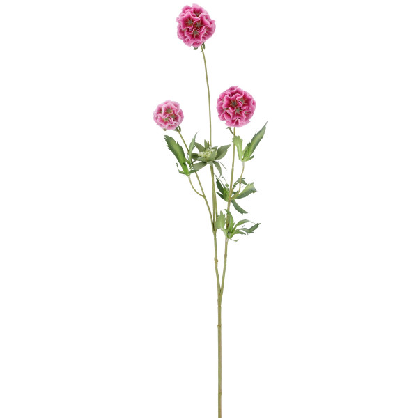 Kunstblume Scabiose