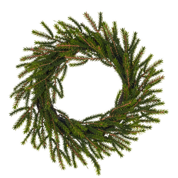 Fichtenkranz