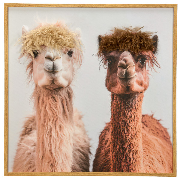 Bild ANIMAL OBJECTC in dunkelbraun aus Papier