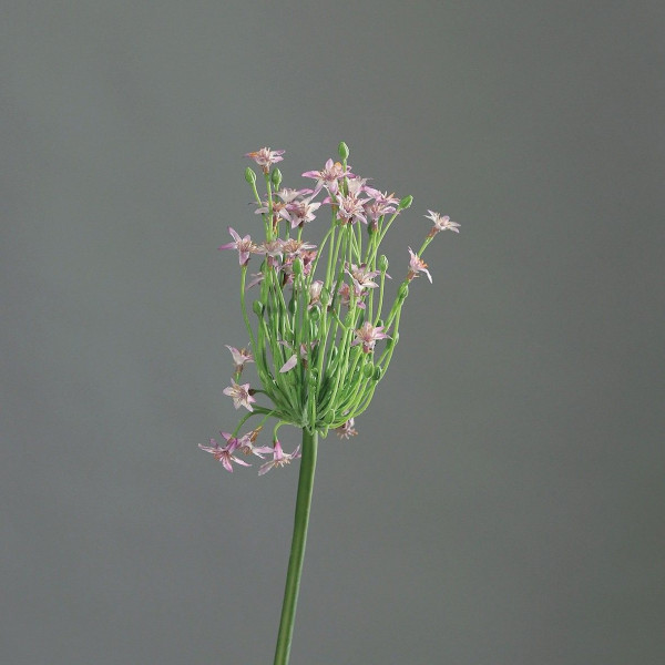 Kunstblume Allium