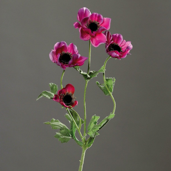 Kunstblume ANEMONE