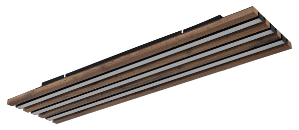 Deckenleuchte HAYDEN in schwarz aus Metall