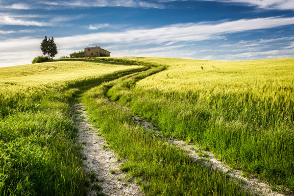 Akustikbild FELDWEG aus Materialmix