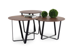 Couchtisch CLASSICS CT 224 Couchtisch CLASSICS CT 224