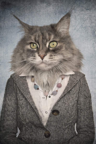 Akustikbild KATZENFRAU aus Materialmix