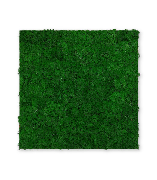 Wandpaneel MODULAR WALL in grün aus Materialmix