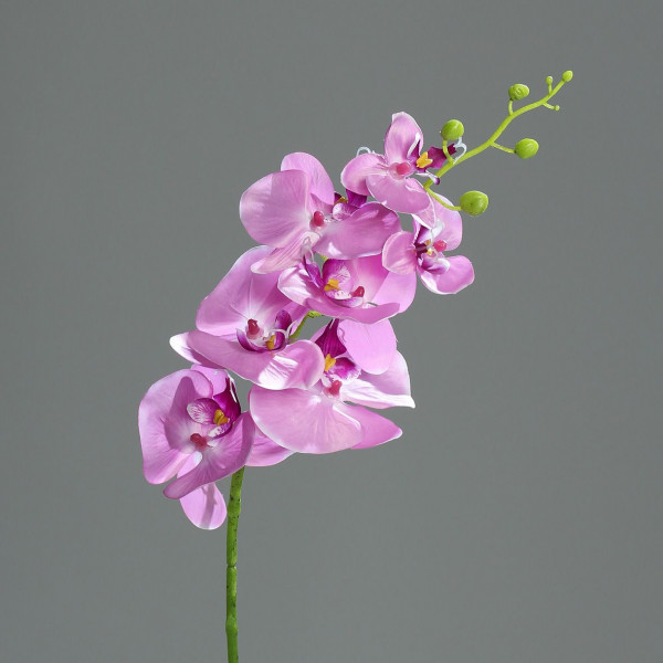 Kunstblume Orchidee